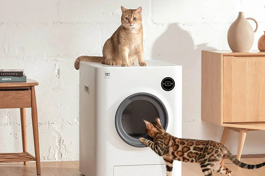 robotic kitty litter